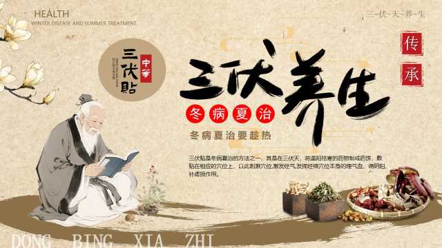 中国风三伏养生冬病夏治PPT模版20250722